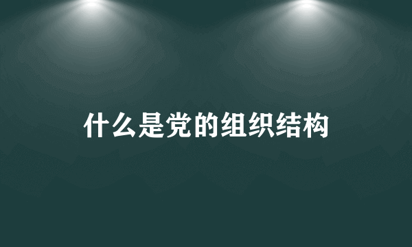 什么是党的组织结构