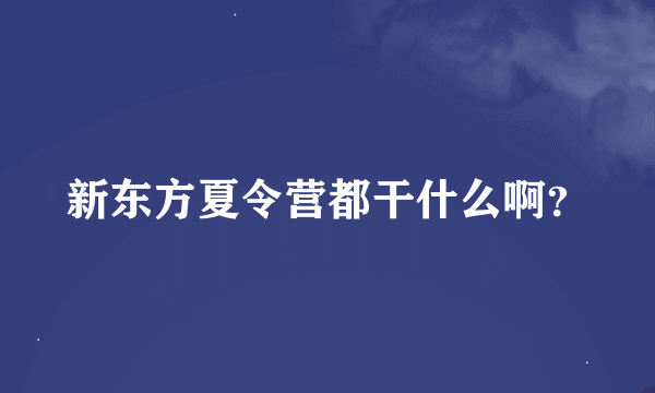 新东方夏令营都干什么啊？