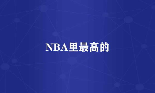 NBA里最高的