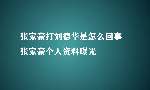 张家豪打刘德华是怎么回事 张家豪个人资料曝光