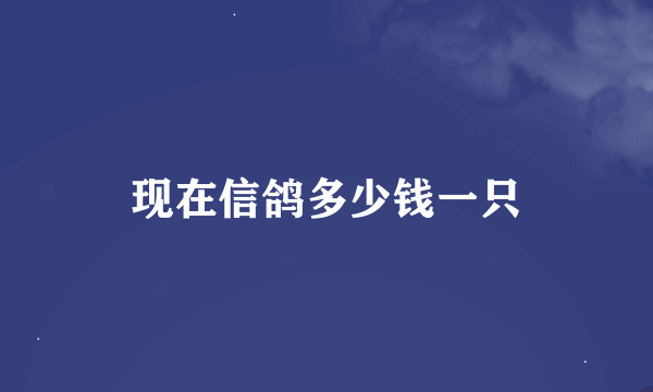 现在信鸽多少钱一只