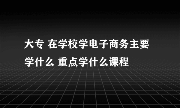 大专 在学校学电子商务主要学什么 重点学什么课程