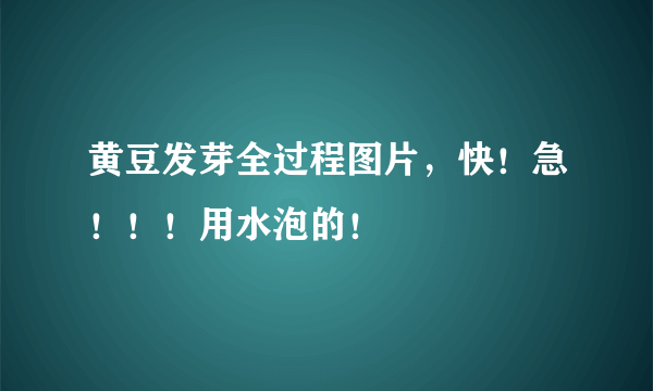 黄豆发芽全过程图片，快！急！！！用水泡的！