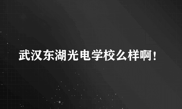 武汉东湖光电学校么样啊！