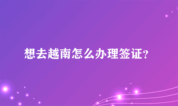 想去越南怎么办理签证？