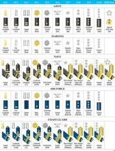 美国军衔等级和各军种军衔图片。