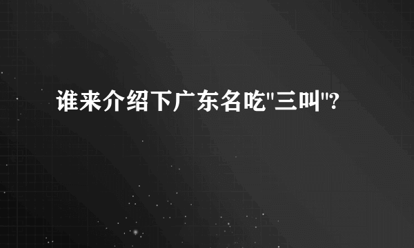 谁来介绍下广东名吃