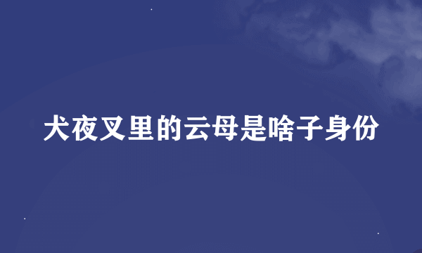 犬夜叉里的云母是啥子身份