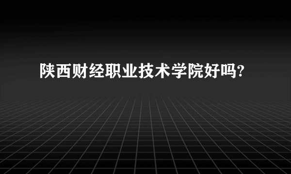 陕西财经职业技术学院好吗?