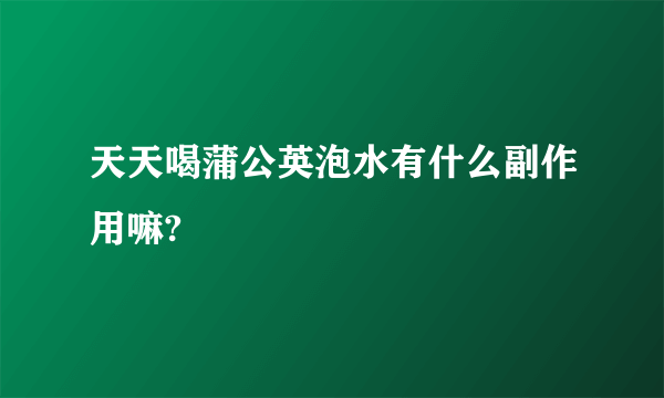 天天喝蒲公英泡水有什么副作用嘛?