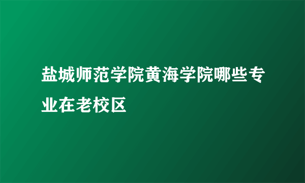 盐城师范学院黄海学院哪些专业在老校区