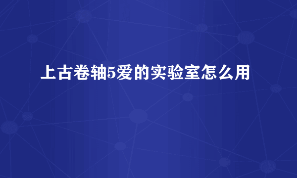 上古卷轴5爱的实验室怎么用