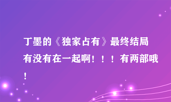 丁墨的《独家占有》最终结局有没有在一起啊！！！有两部哦！