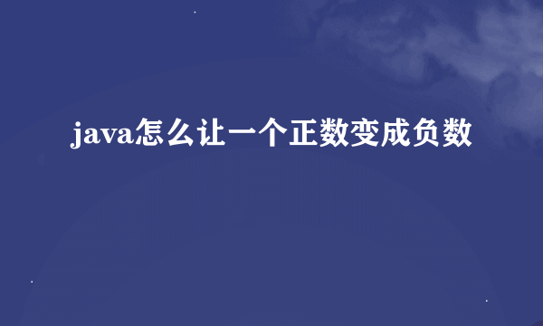 java怎么让一个正数变成负数