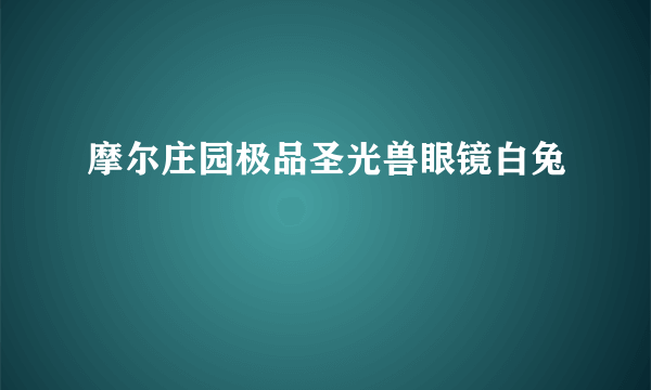 摩尔庄园极品圣光兽眼镜白兔