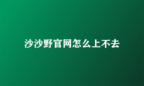 沙沙野官网怎么上不去