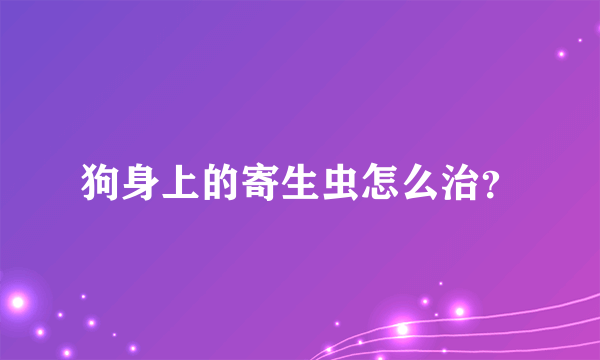 狗身上的寄生虫怎么治？