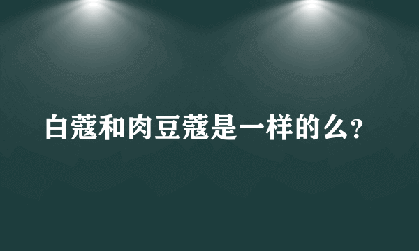 白蔻和肉豆蔻是一样的么？