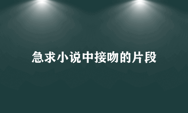 急求小说中接吻的片段