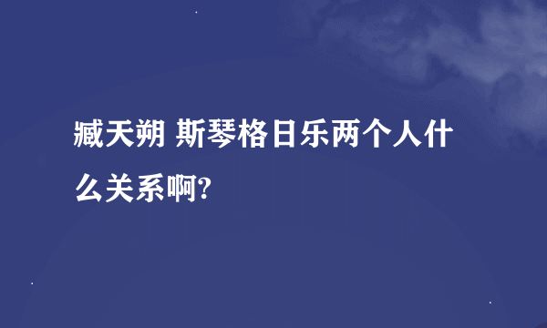 臧天朔 斯琴格日乐两个人什么关系啊?