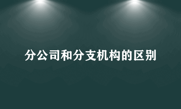 分公司和分支机构的区别