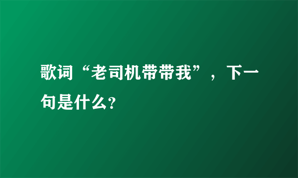 歌词“老司机带带我”，下一句是什么？