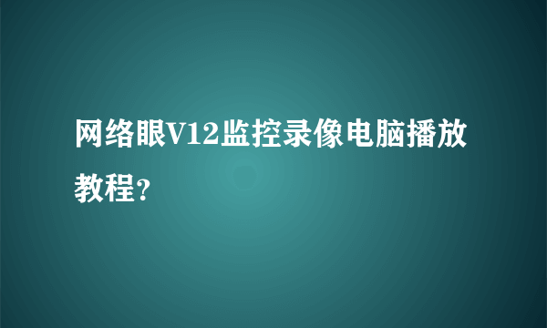 网络眼V12监控录像电脑播放教程？