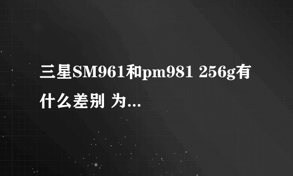 三星SM961和pm981 256g有什么差别 为什么sm961更贵。