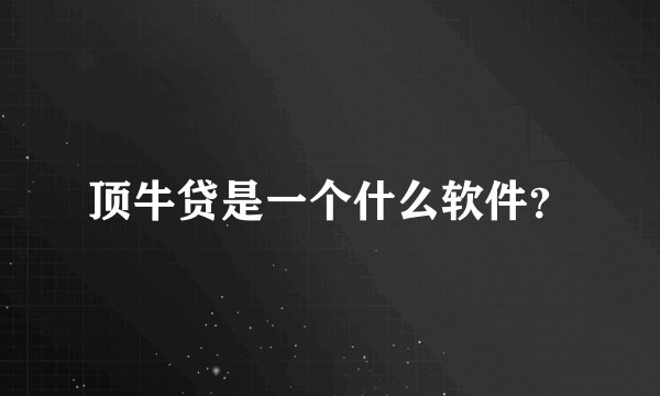 顶牛贷是一个什么软件？