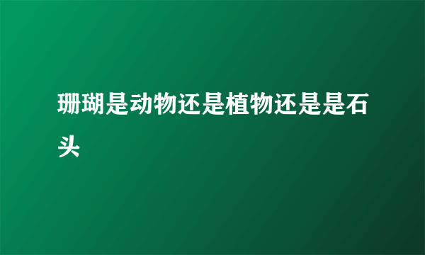 珊瑚是动物还是植物还是是石头