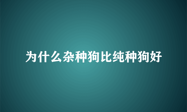 为什么杂种狗比纯种狗好