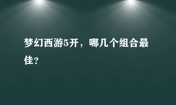 梦幻西游5开，哪几个组合最佳？