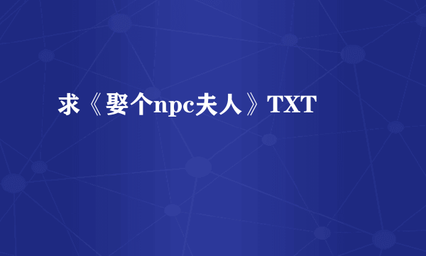 求《娶个npc夫人》TXT