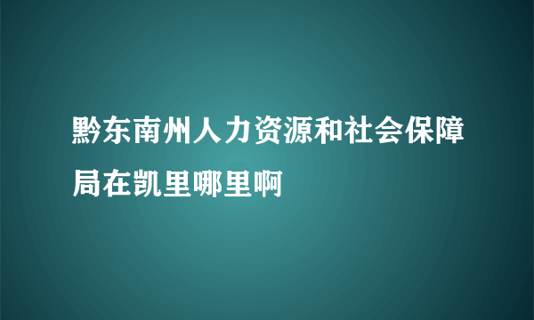 黔东南州人力资源和社会保障局在凯里哪里啊