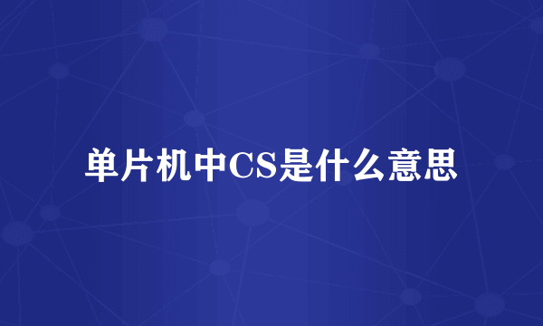 单片机中CS是什么意思