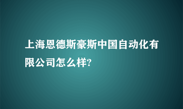 上海恩德斯豪斯中国自动化有限公司怎么样?