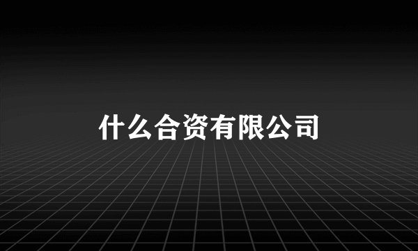 什么合资有限公司