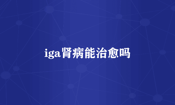 iga肾病能治愈吗