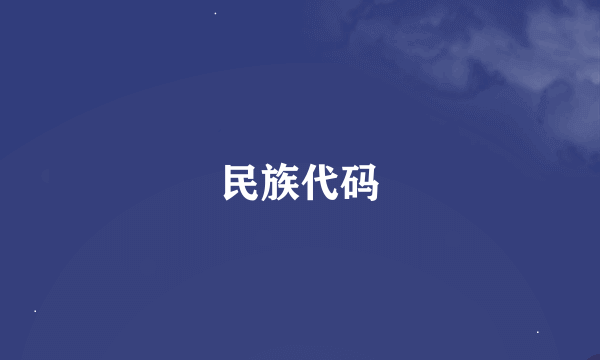 民族代码