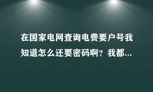 在国家电网查询电费要户号我知道怎么还要密码啊？我都不知道有密码，如果有密码怎么能找回或是看到？