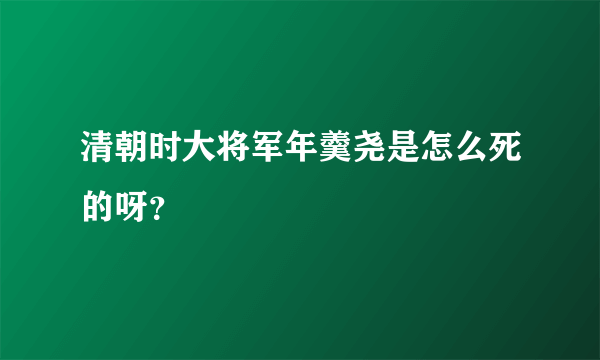 清朝时大将军年羹尧是怎么死的呀？