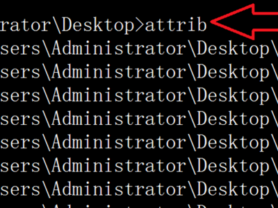 attrib -s -h -r /s /d 这是什么命令？大神们帮帮忙