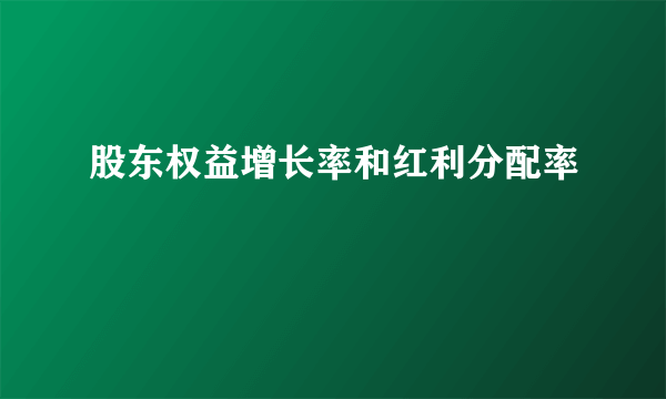 股东权益增长率和红利分配率