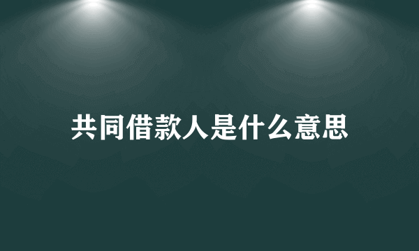 共同借款人是什么意思