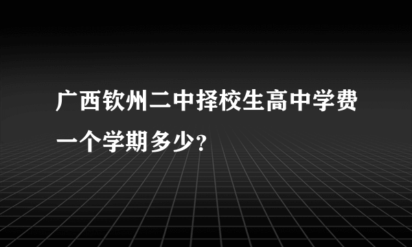 广西钦州二中择校生高中学费一个学期多少？