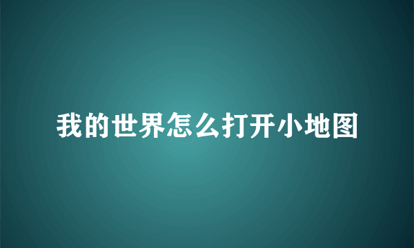 我的世界怎么打开小地图