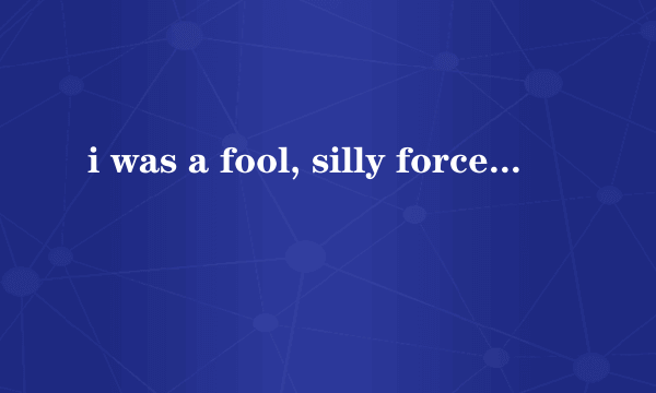 i was a fool, silly force代表的是什么字