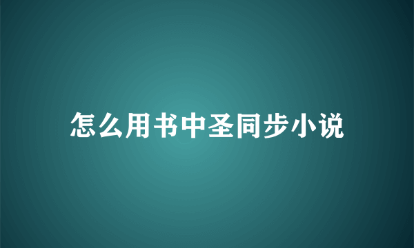 怎么用书中圣同步小说