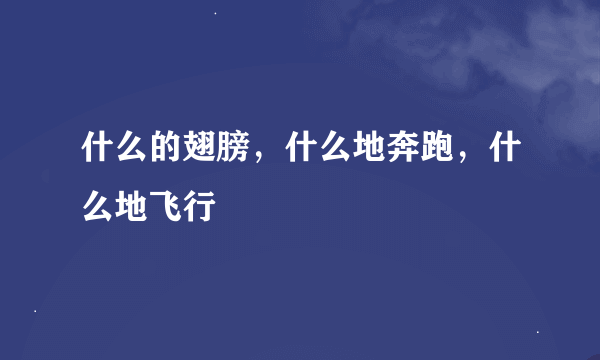 什么的翅膀，什么地奔跑，什么地飞行