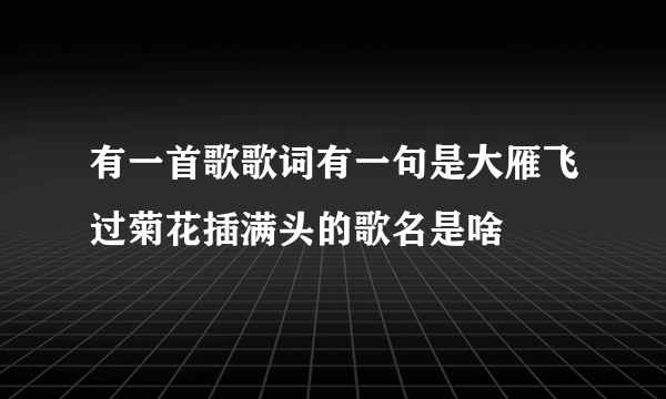 有一首歌歌词有一句是大雁飞过菊花插满头的歌名是啥